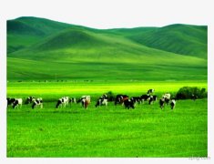 【新时代·幸福美丽新边疆】内蒙古是个好地方