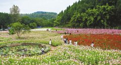 北京出台办法对乡村旅游进行评级