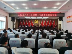 中国共产党沙土镇第十五次党员代表大会胜利召开