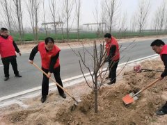 牡丹区沙土镇开展义务植树活动