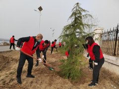 东明县水务局开展义务植树活动