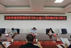 武胜桥镇党委理论学习中心组召开2022年第六次集中学习研讨会